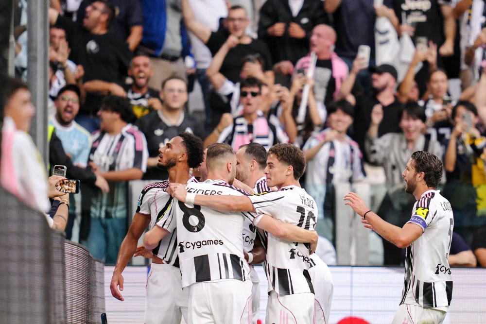 了重要贡献 了重要贡献