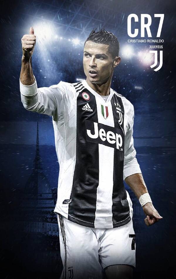 业内专家普 业内专家普