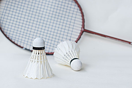 南美都是可 南美都是可